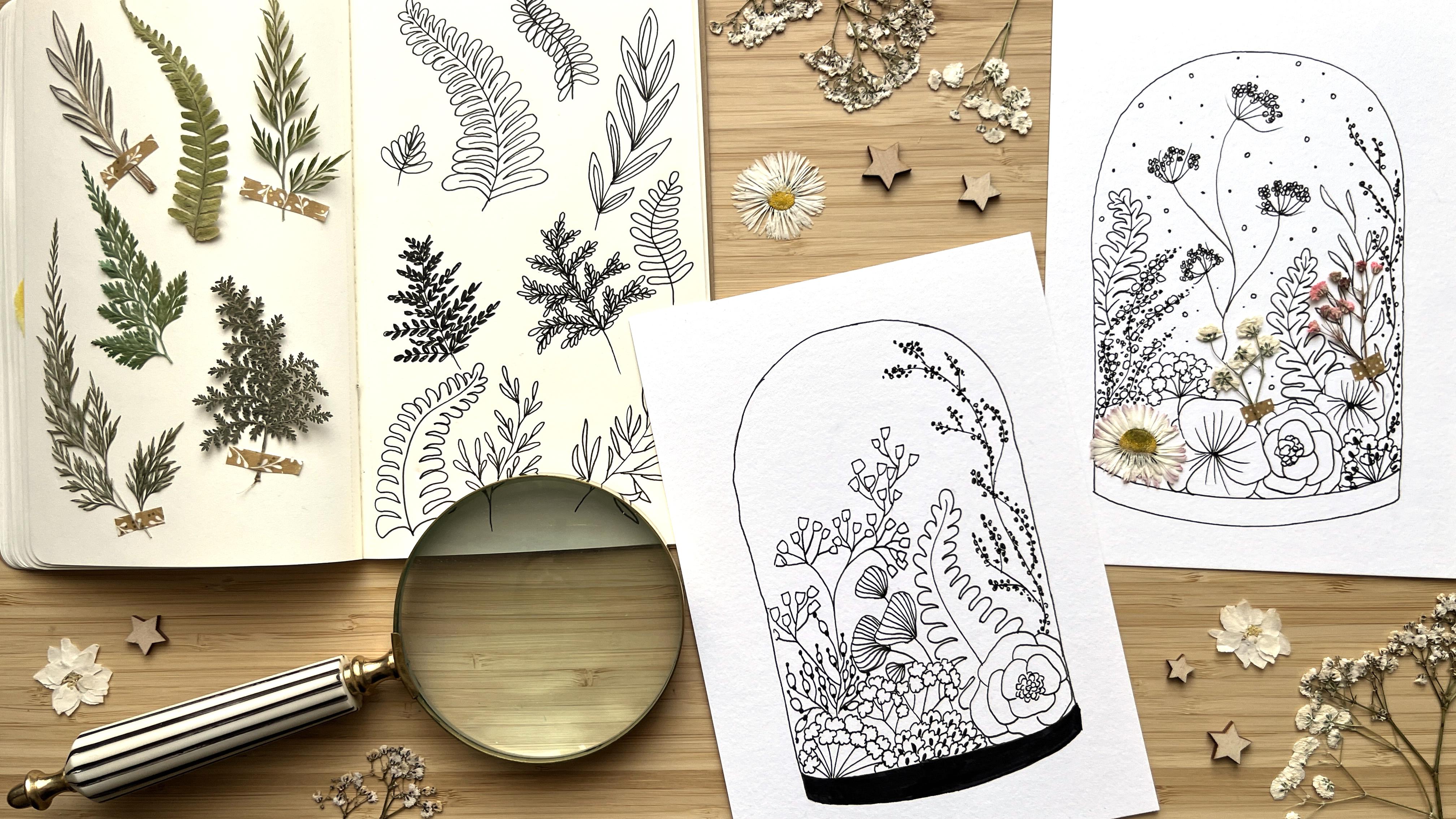 Botanical illustration representing mindful daily routines with plants and organic shapes